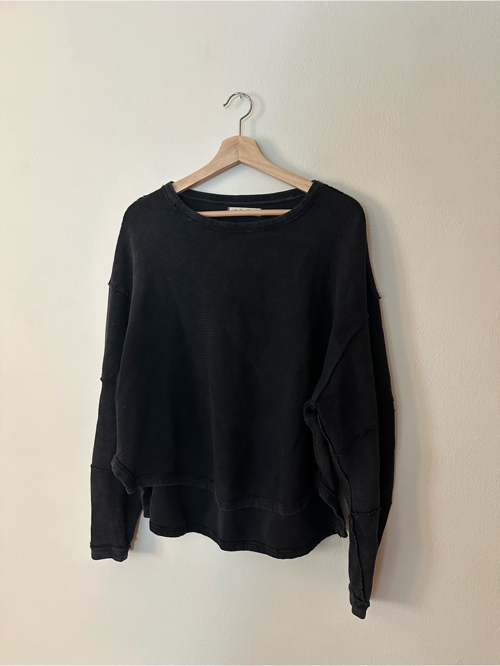Free People We the Free sweatshirt